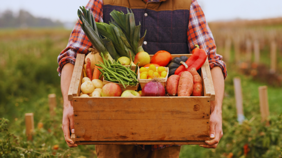 Mardi 10 Octobre Montérégie - Vermont USA