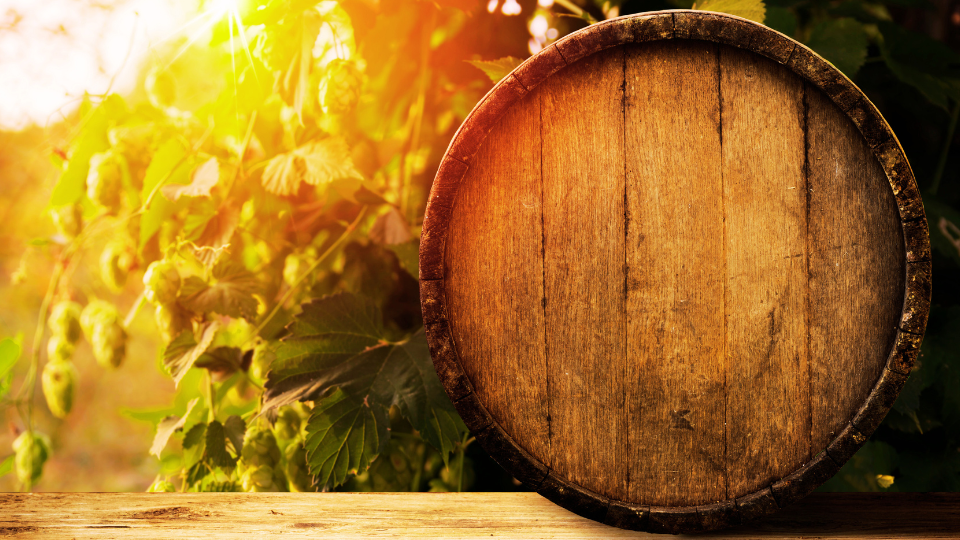 Vendredi 13 Octobre - New-Hampshire - Estrie- Québec